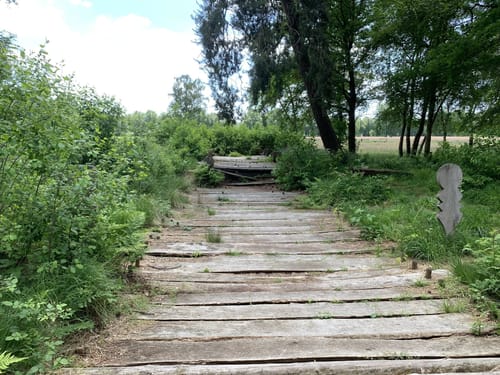 Blauer Rundweg Wittemoor