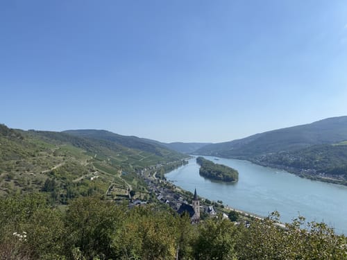 Rheinsteig Etappe 16: Kaub bis Lorch