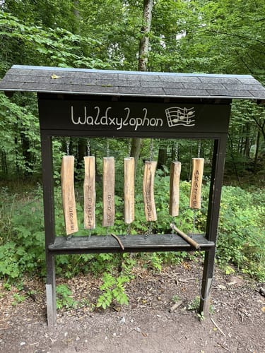 Miltenberg - Felsenmeer Rundwanderung