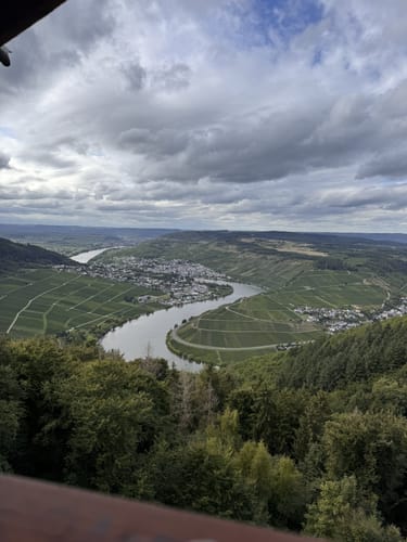 Mehringer Schweiz (Moselsteig Seitensprung)