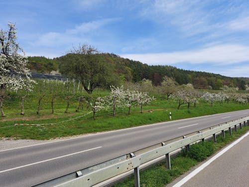 Überlinger See