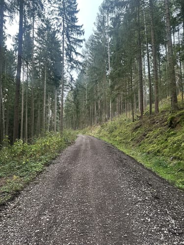 Goldsteig Zuweg - Nr. 8 Wernberg Köblitz-Pfreimdtal