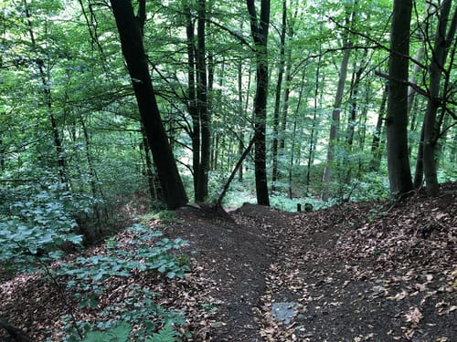 Nordmannsturm und Alte Taufe ab Nienstedt