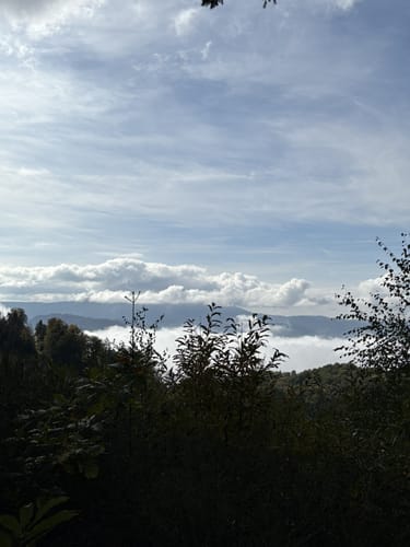 Fiesemichel - Hörnle
