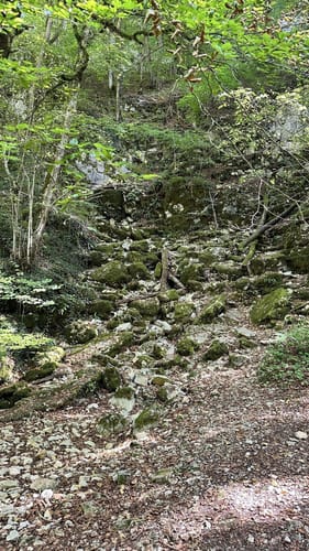 Zur Falkensteiner Höhle