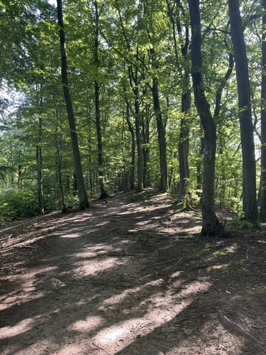 Teufelskanzel und Lindewerrablick ab Rimbach