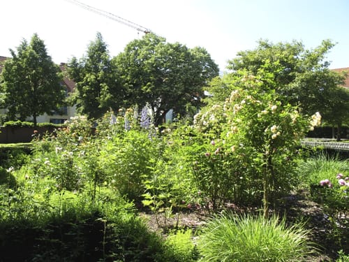 Lippenauenweg (L1) Lippstadt