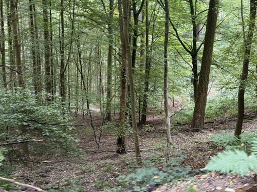 Leutershausen - Heidenloch - Schanzenköpfle