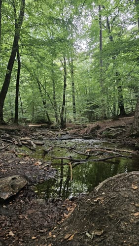 Pivikter Wasserweg