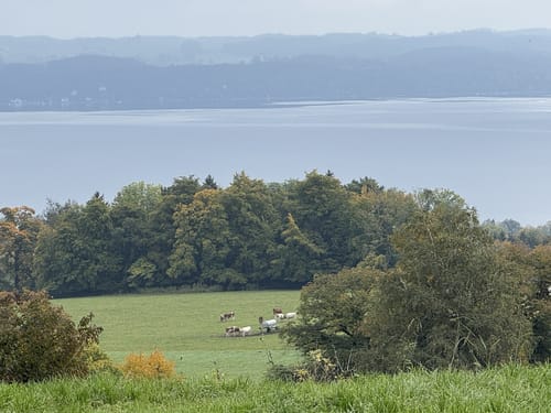 Tutzing - Deixlfurter See Rundwanderung