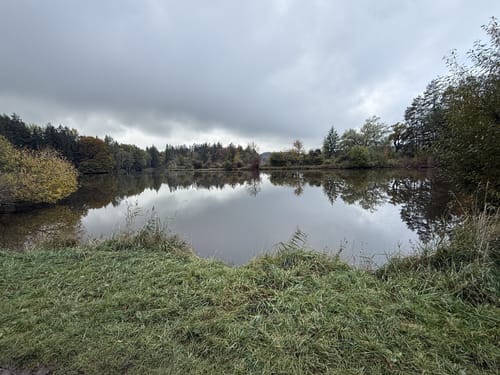 Tutzing - Deixlfurter See Rundwanderung