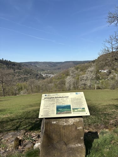 Neckarsteig Etappe 5: Eberbach - Neunkirchen