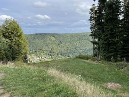 Wildline Hängebrücke