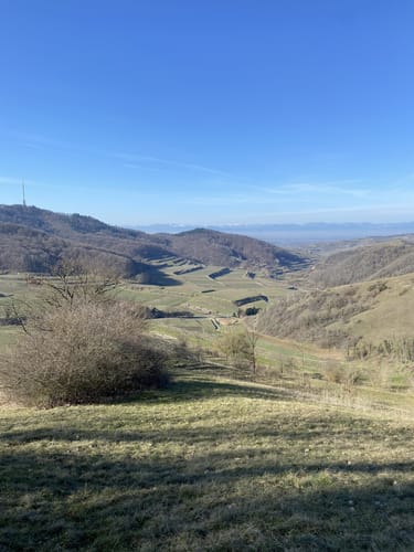 Altvogtsburg Rundweg