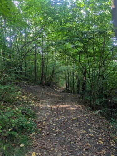 Zum Kernberg-Plateau