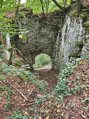 Fleggaronde