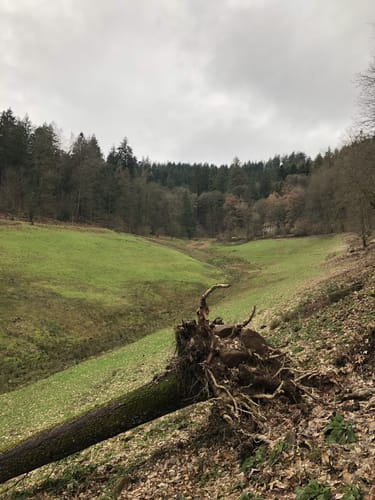 Nördliches Eiterbachtal mit Stiefelhütte