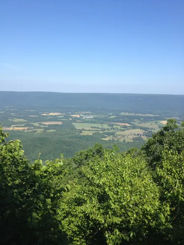 Best Hikes and Trails in CrockfordPigeon Mountain Wildlife Management