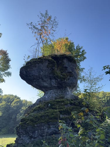 Trubachweg zur Ruine Bärnfels