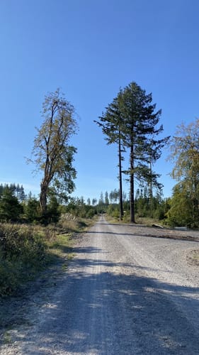 Nieste Rundwanderweg