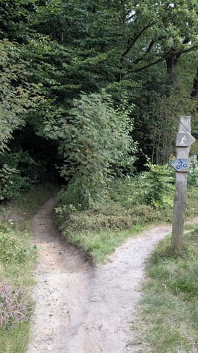 MTB Trail: Hütti-Trail Grundstrecke Blau