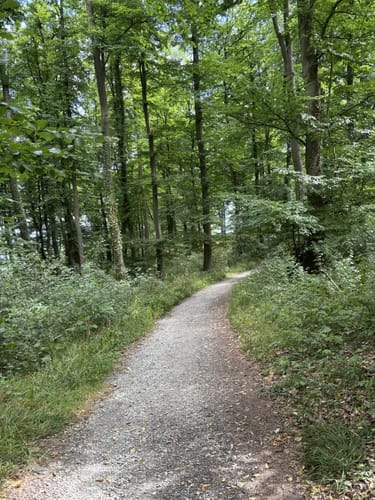 Holperdorper (Teutoschleife)