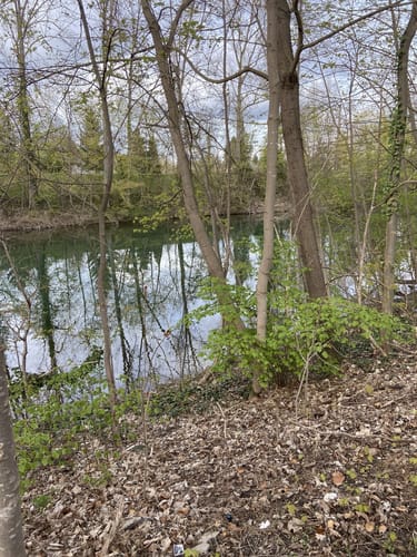 Rund um Waldschwimmbad Breisach