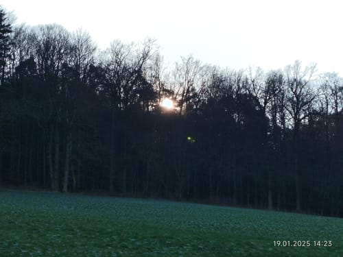 Bad König: Drei-Mühlen-Weg