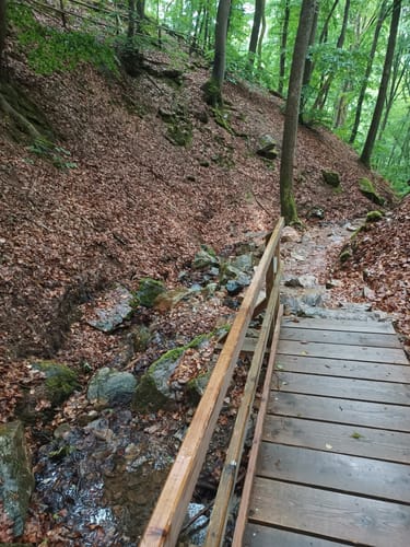 Michels Vitaltour (Premiumwanderweg)