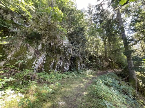 Rappenfelsensteig (Genießerpfad)