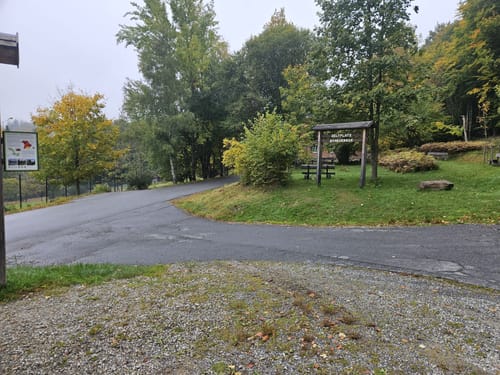 Forelle Rundweg