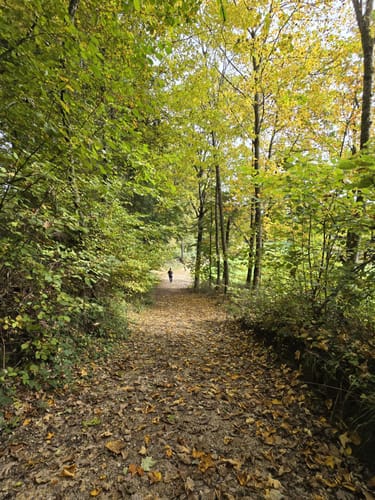 Götzenbachstausee - Götzenloch