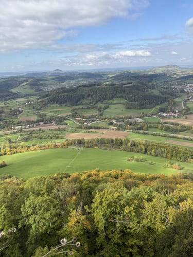 Löwenpfad Messelbergtour (traumtour)