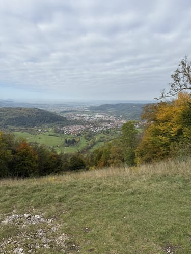 Löwenpfad Messelbergtour (traumtour)