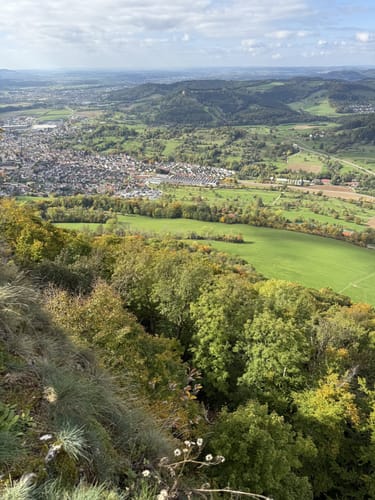 Löwenpfad Messelbergtour (traumtour)