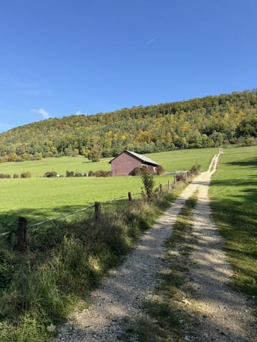 Löwenpfad Messelbergtour (traumtour)