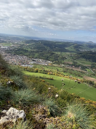 Löwenpfad Messelbergtour (traumtour)