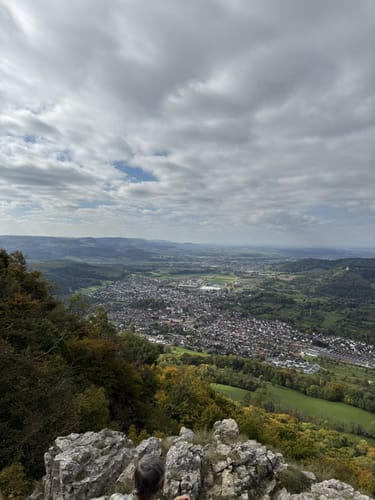 Löwenpfad Messelbergtour (traumtour)