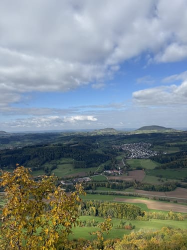 Löwenpfad Messelbergtour (traumtour)