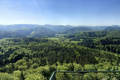 Busenberger Holzschuhpfad (Premiumwanderweg)