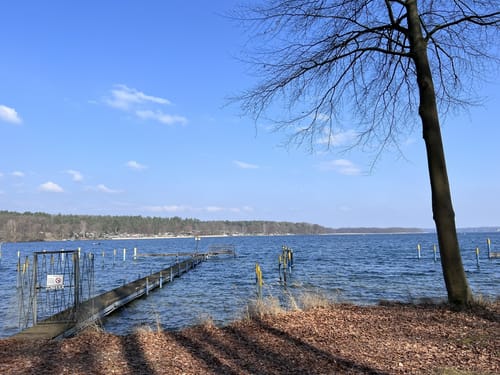 Um den Werbellinsee