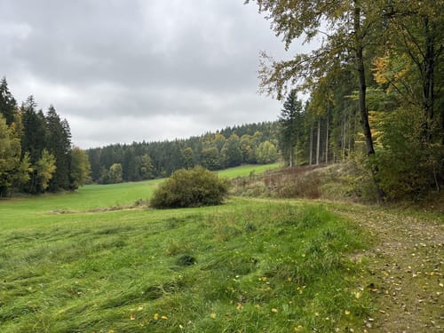 Rundwanderweg Trasching - Sengersberg (Ro08)