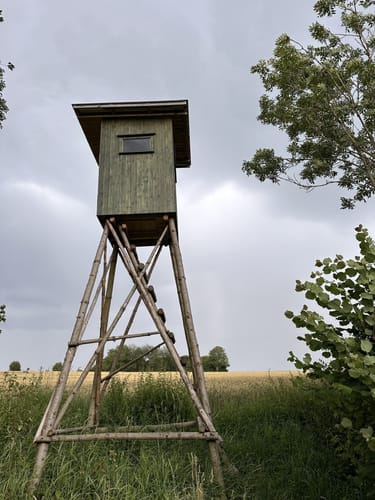 Zur Lillachquelle über die Leichenlinde