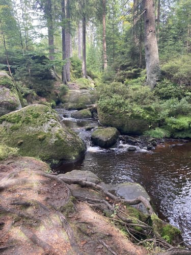 Weißmain-Ochsenkopf-Steig