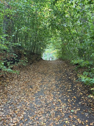 Rund um den Ratzeburger See