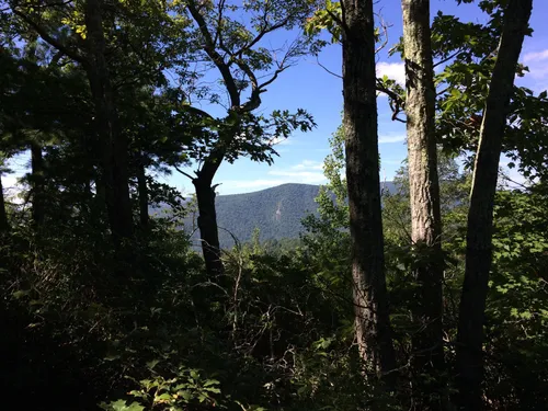 Old Rag Mountain via Weakley Hollow Fire Road, Virginia - 443 Reviews, Map