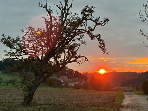 Großspach - Hardtwald - Steinhausen