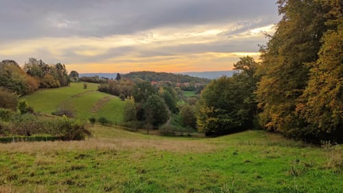 Rundwanderwege Johannesberg: Roter Hase
