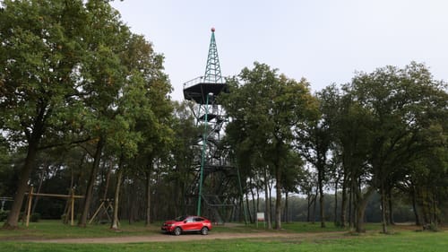 Hügelgräberheide Halle-Heringen