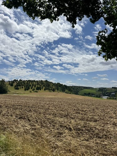 EifelSpur: Toskana der Eifel